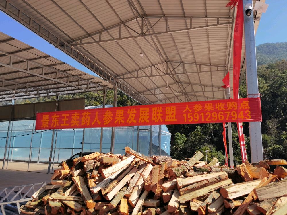 景东王卖药人参果发展联盟(1收购点)
