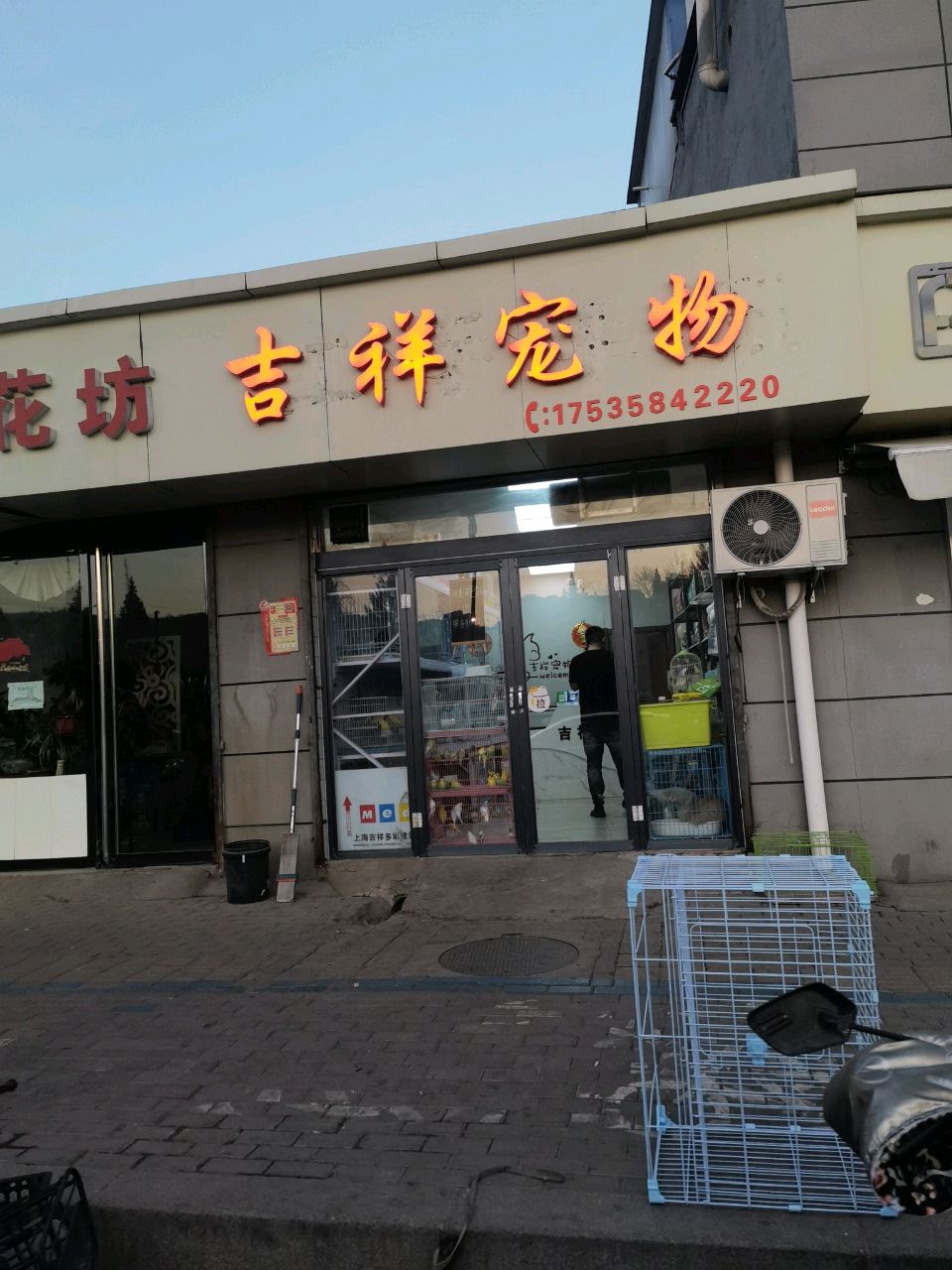 吉祥宠物