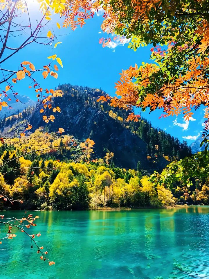 九寨沟风景区网红打卡点
