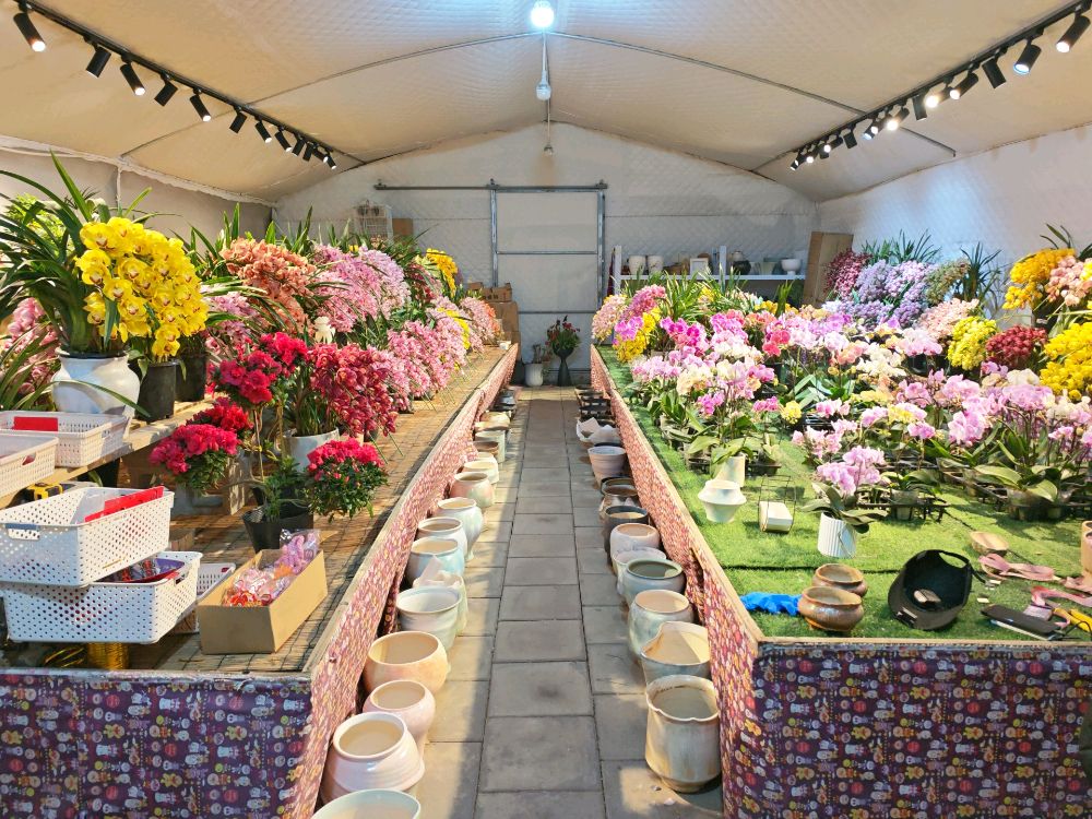 Five的花店