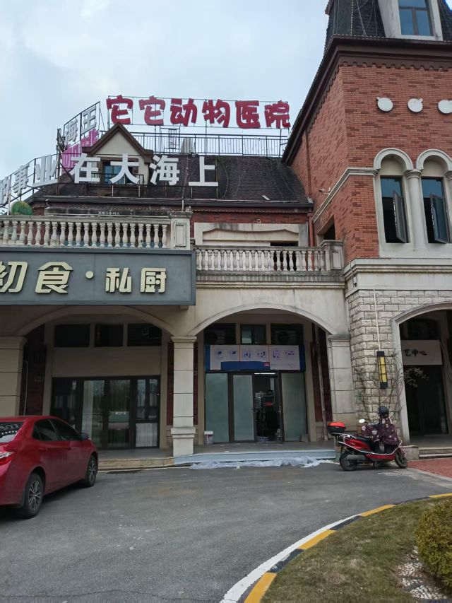 它它动物医院