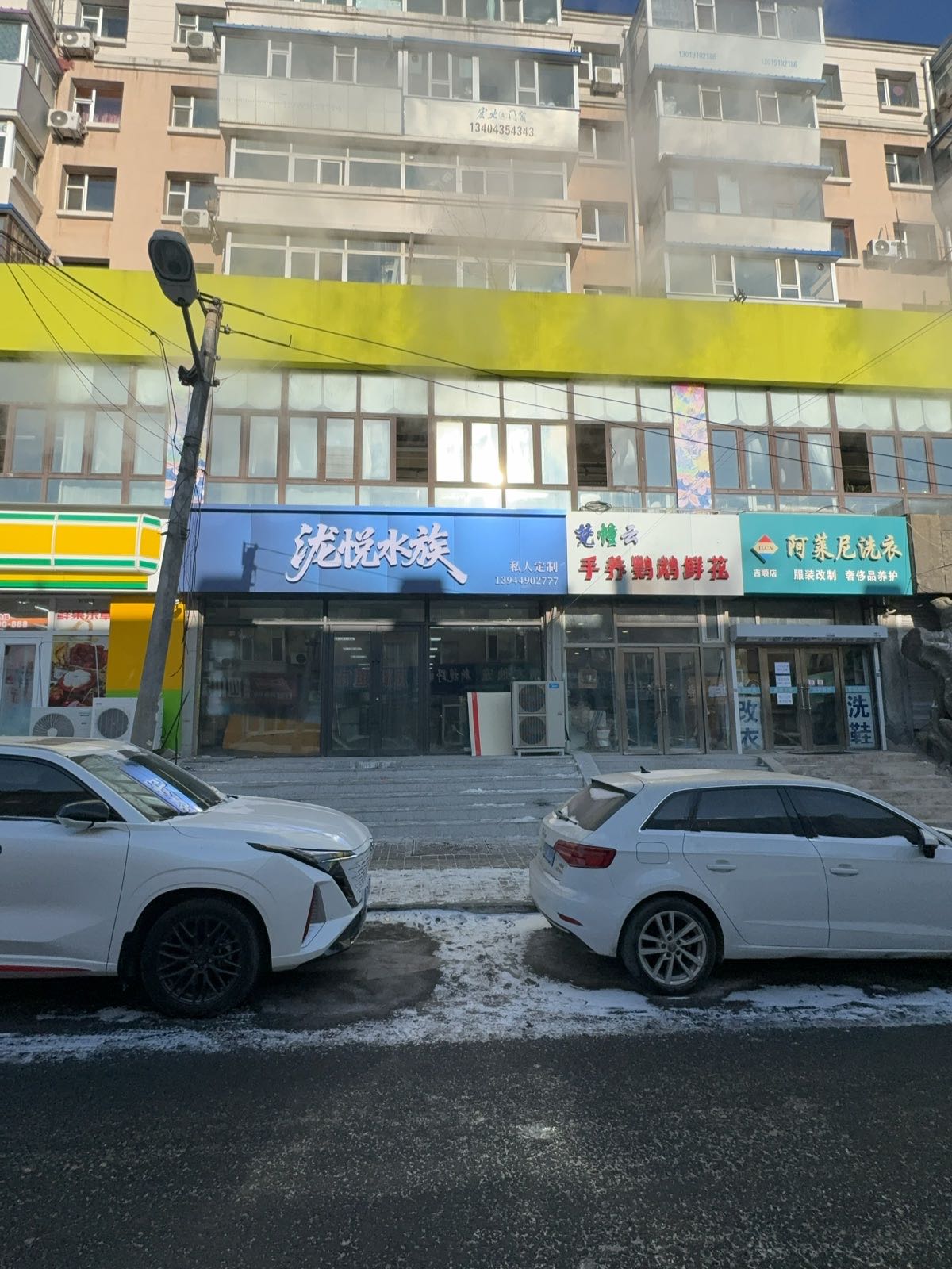 泷悦水族