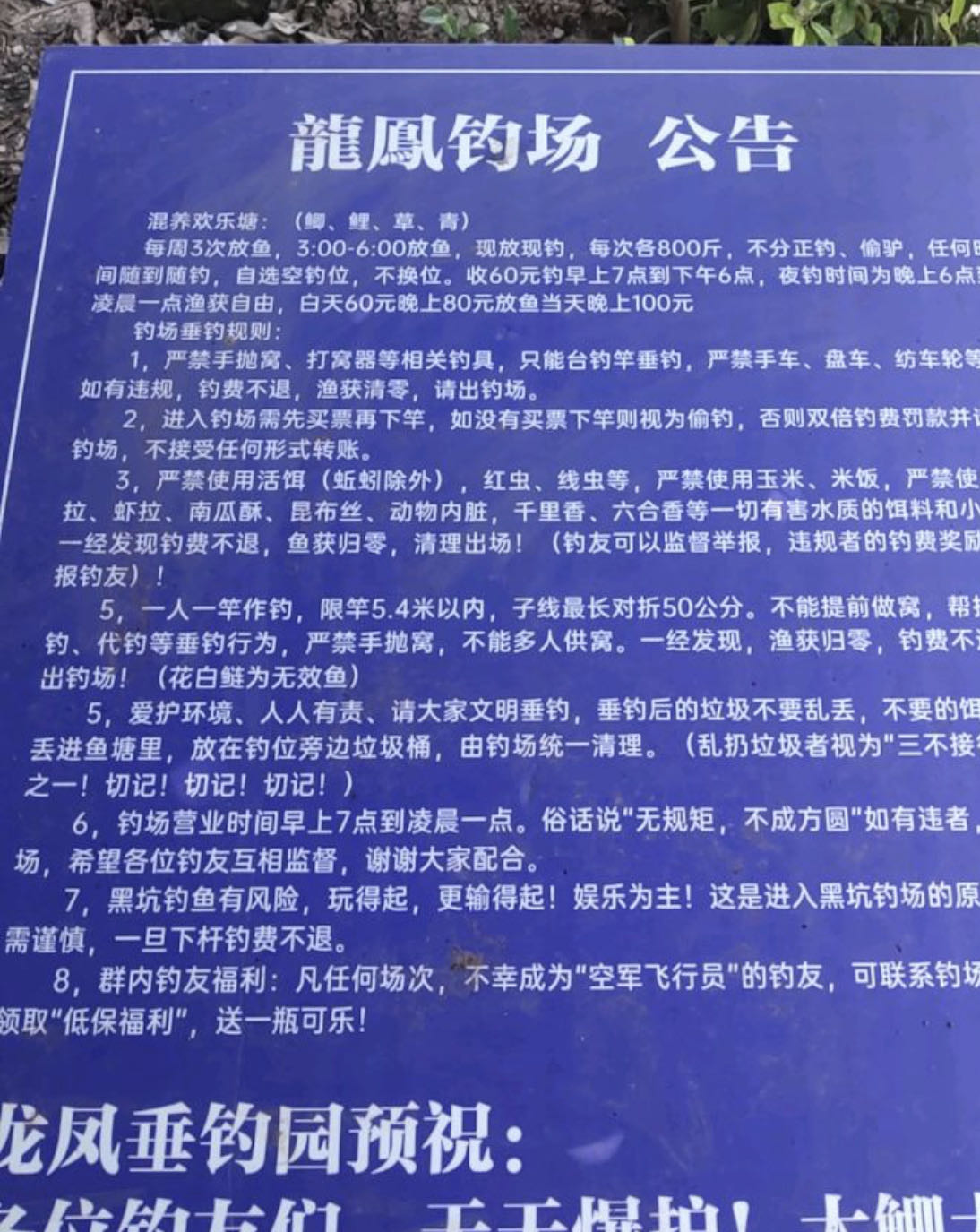 龙凤钓场