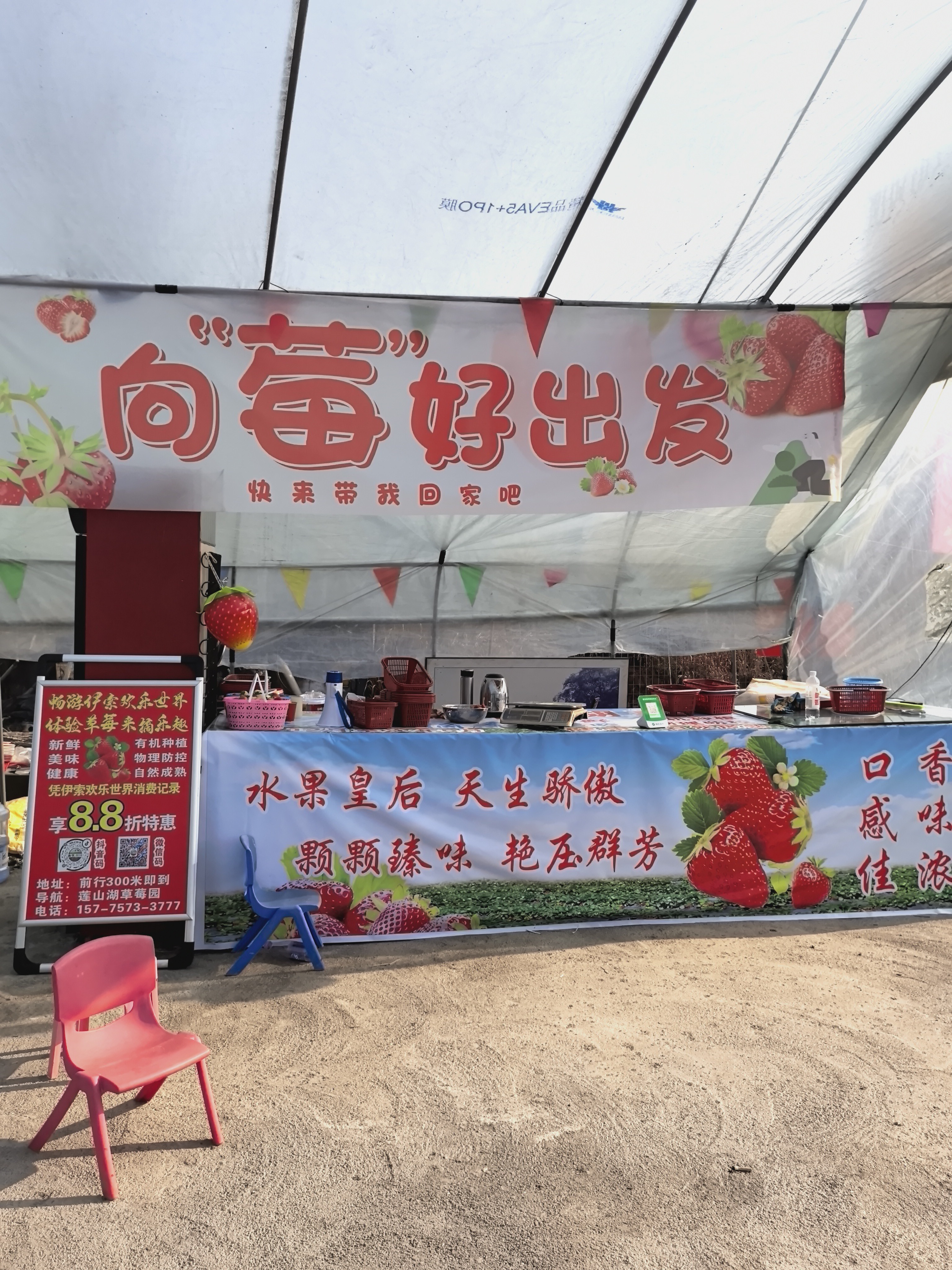 莲山湖草莓园