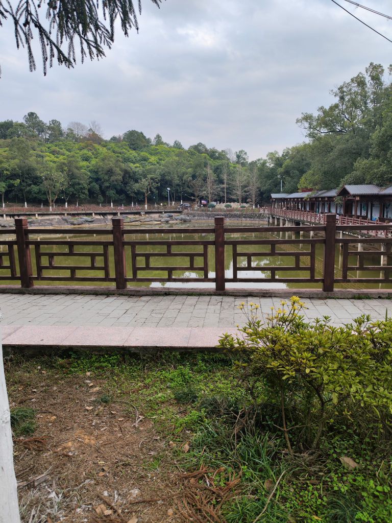 邵阳市宝庆森林公园