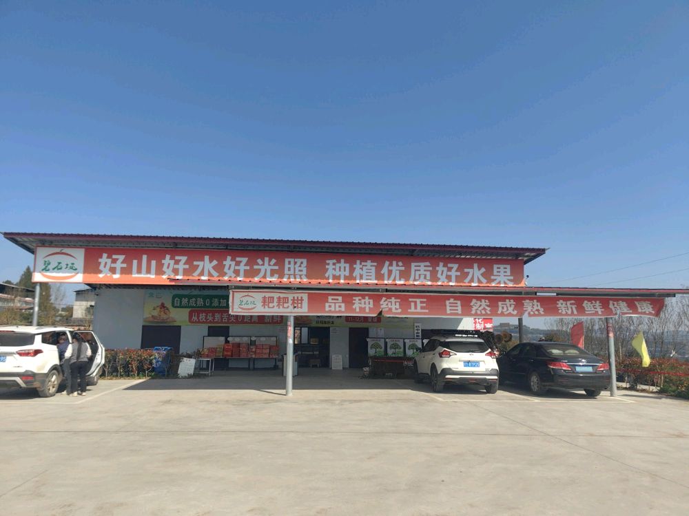 巴中市恩阳区碧石垭耙耙柑采摘园