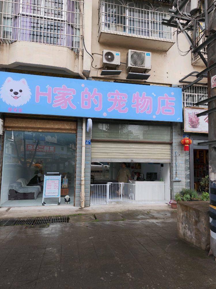 H家的宠物店