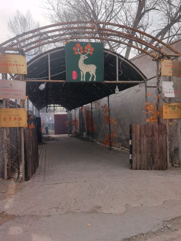 清真悦汇庄花园小院