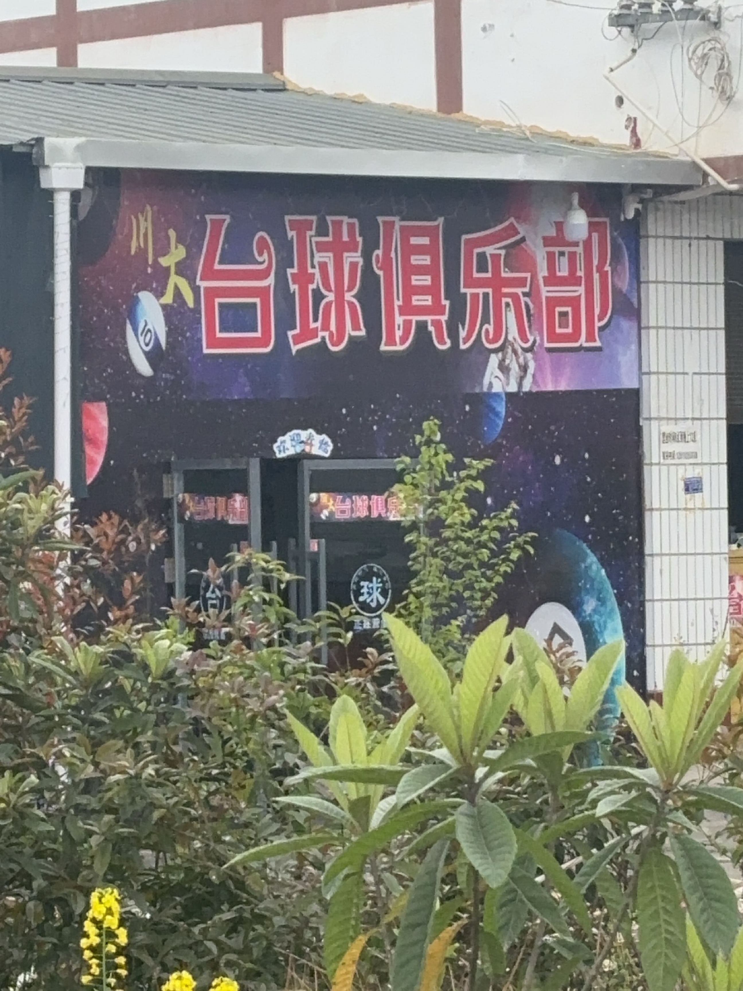 川大台球俱乐部