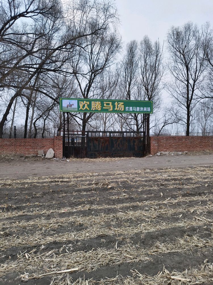 欢腾马场