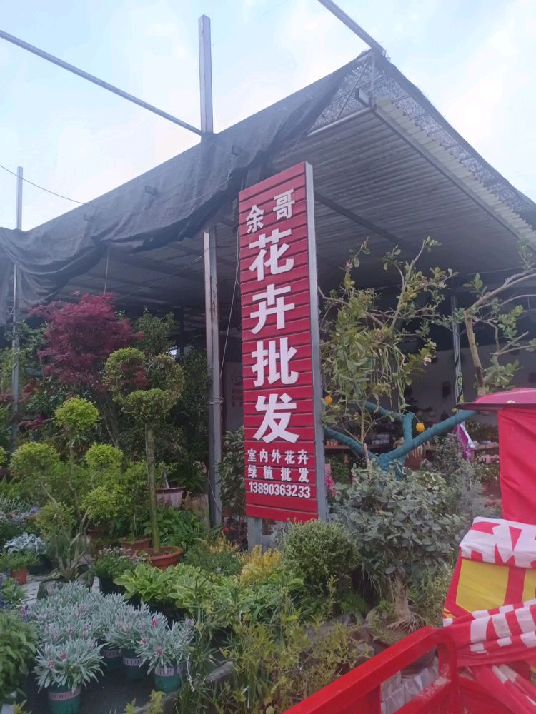 余哥花卉批发