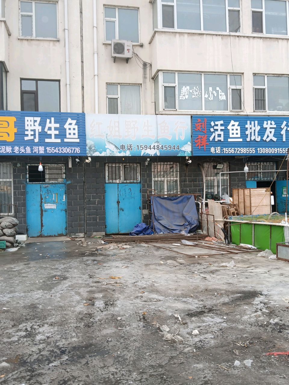 红姐野生鱼行