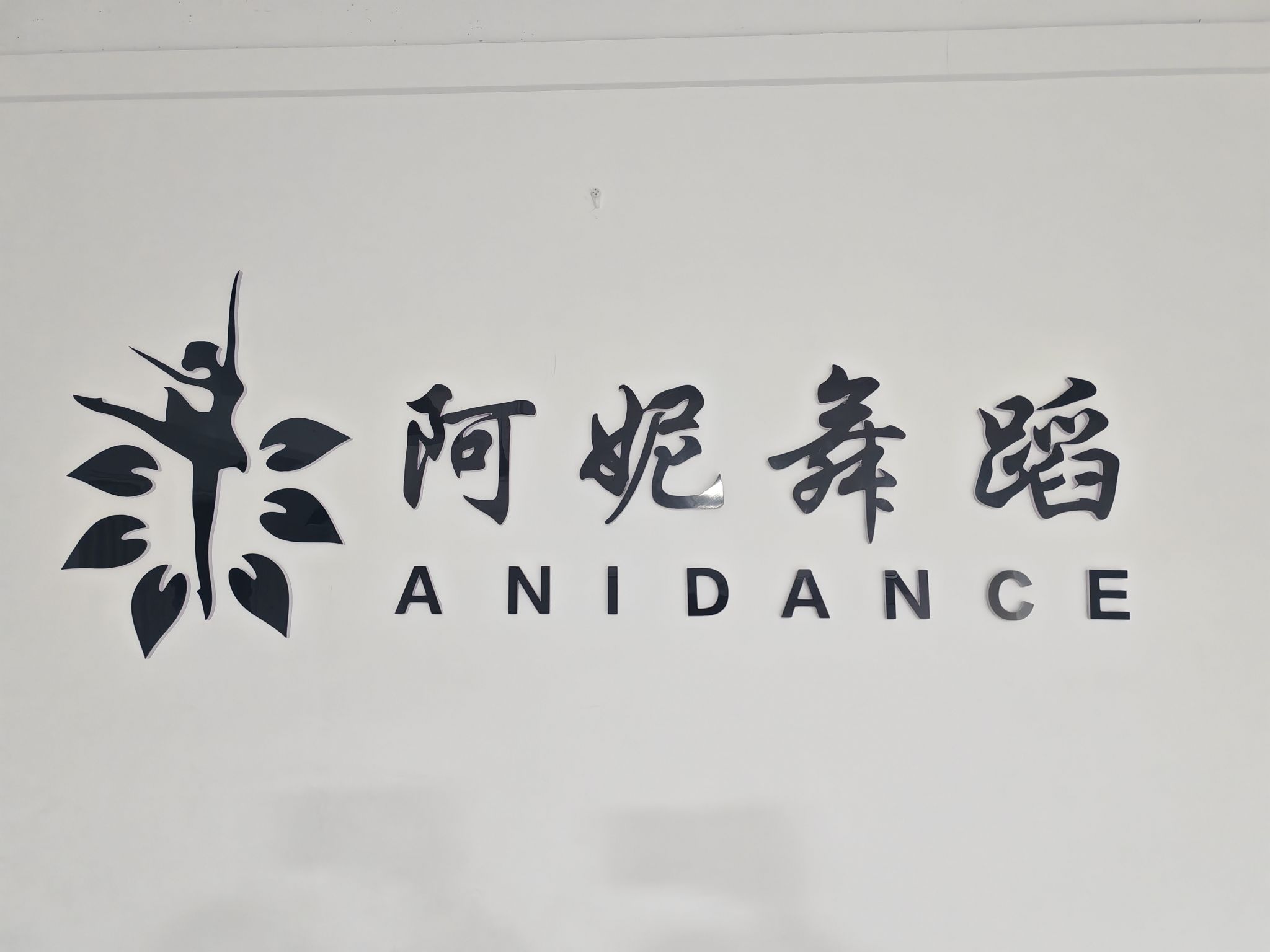 阿妮舞蹈(东方明珠校区)