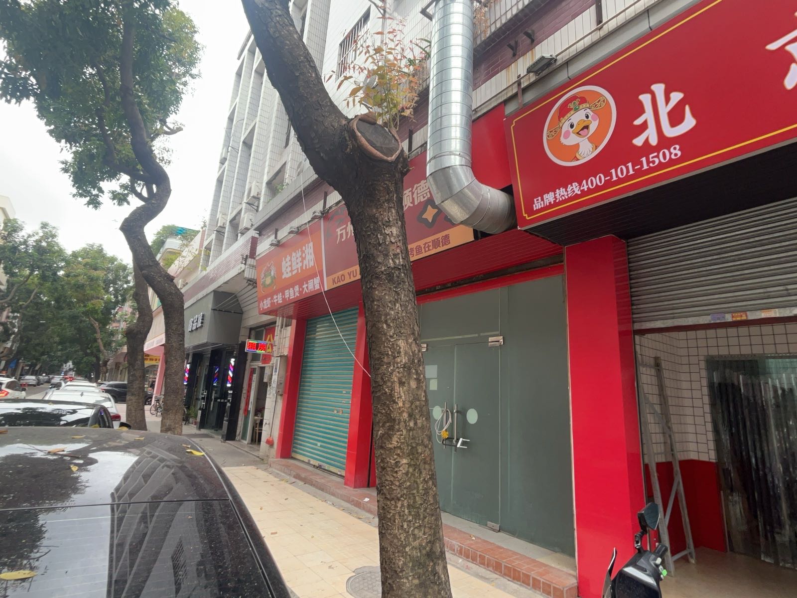 广东省佛山市顺德区大良街道升平路31号首层之七