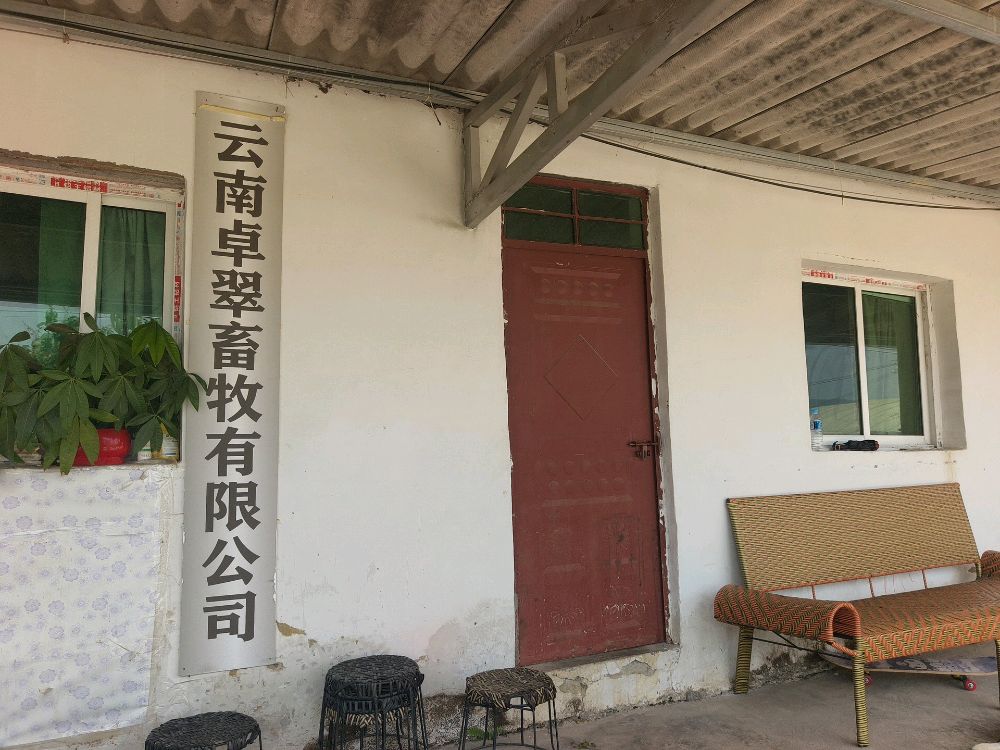 永德卓翠畜牧有限公司(杨卓生猪收购中转)