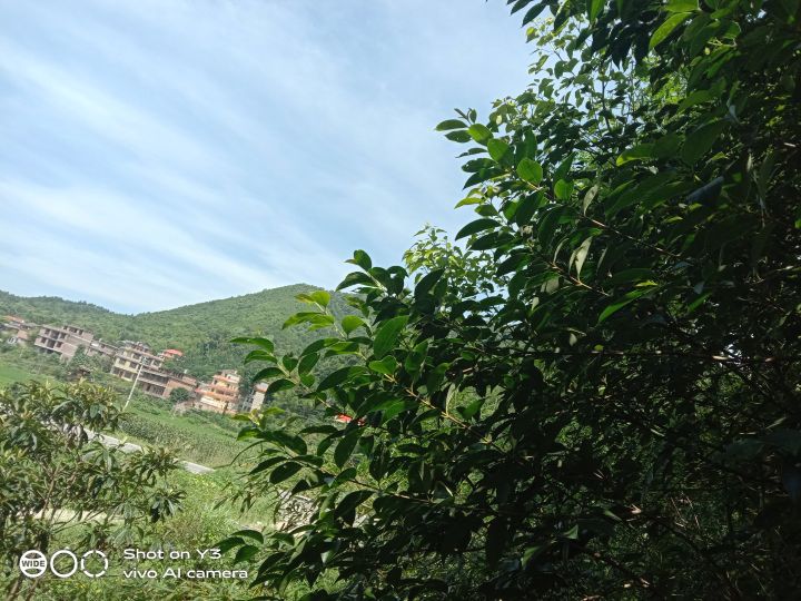 灵官殿镇