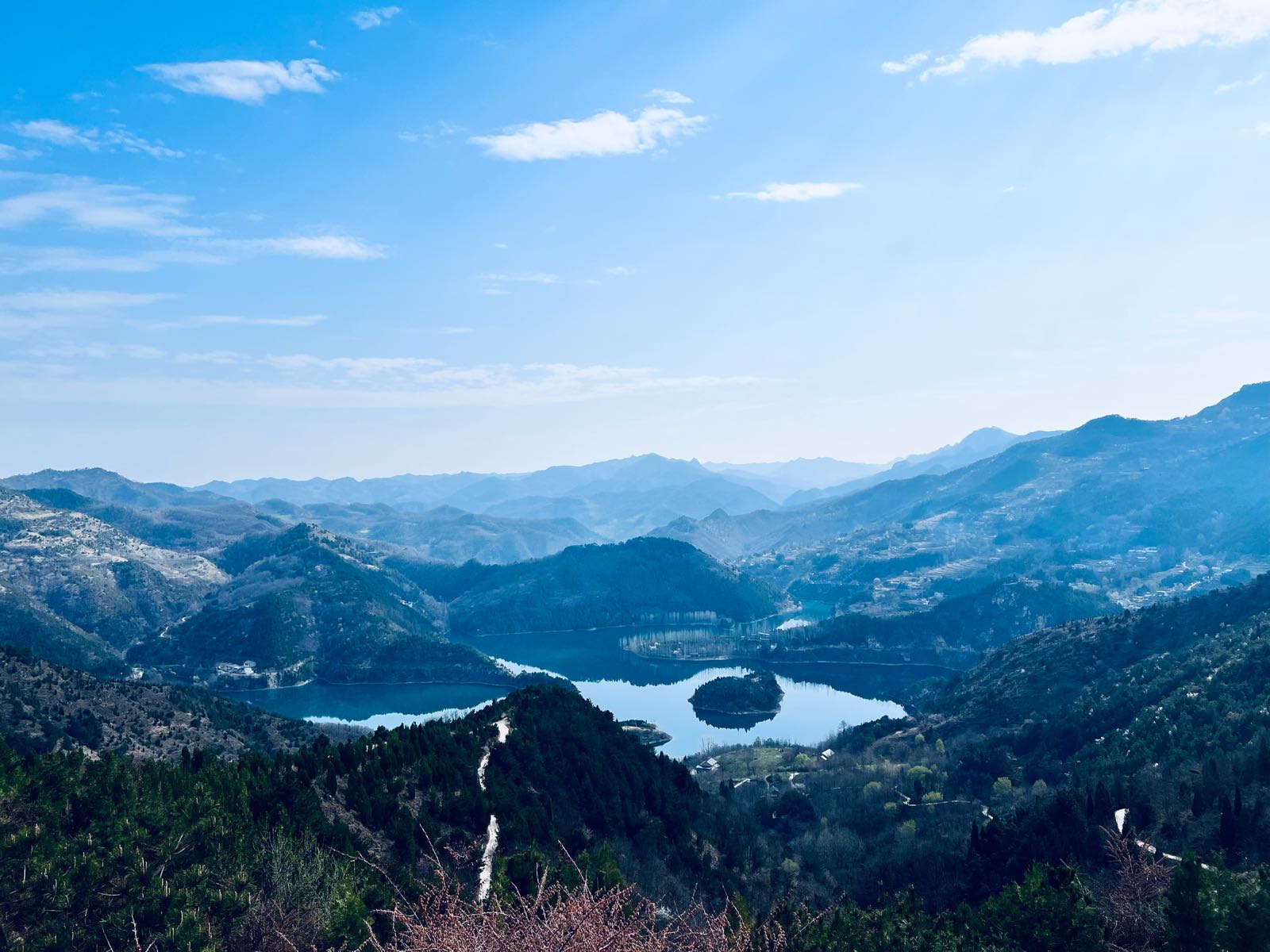 陈岭村夫妻树