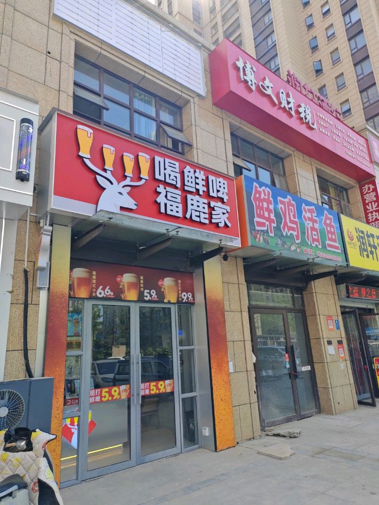 喝鲜啤福鹿家(信华城店)