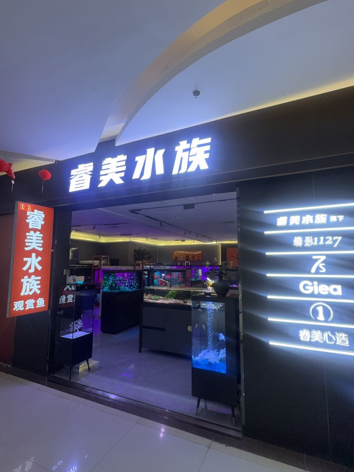 睿美水族世界(新冠森店)