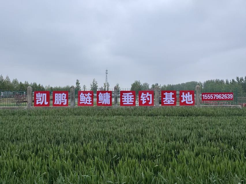 凯鹏鲢鳙垂钓基地