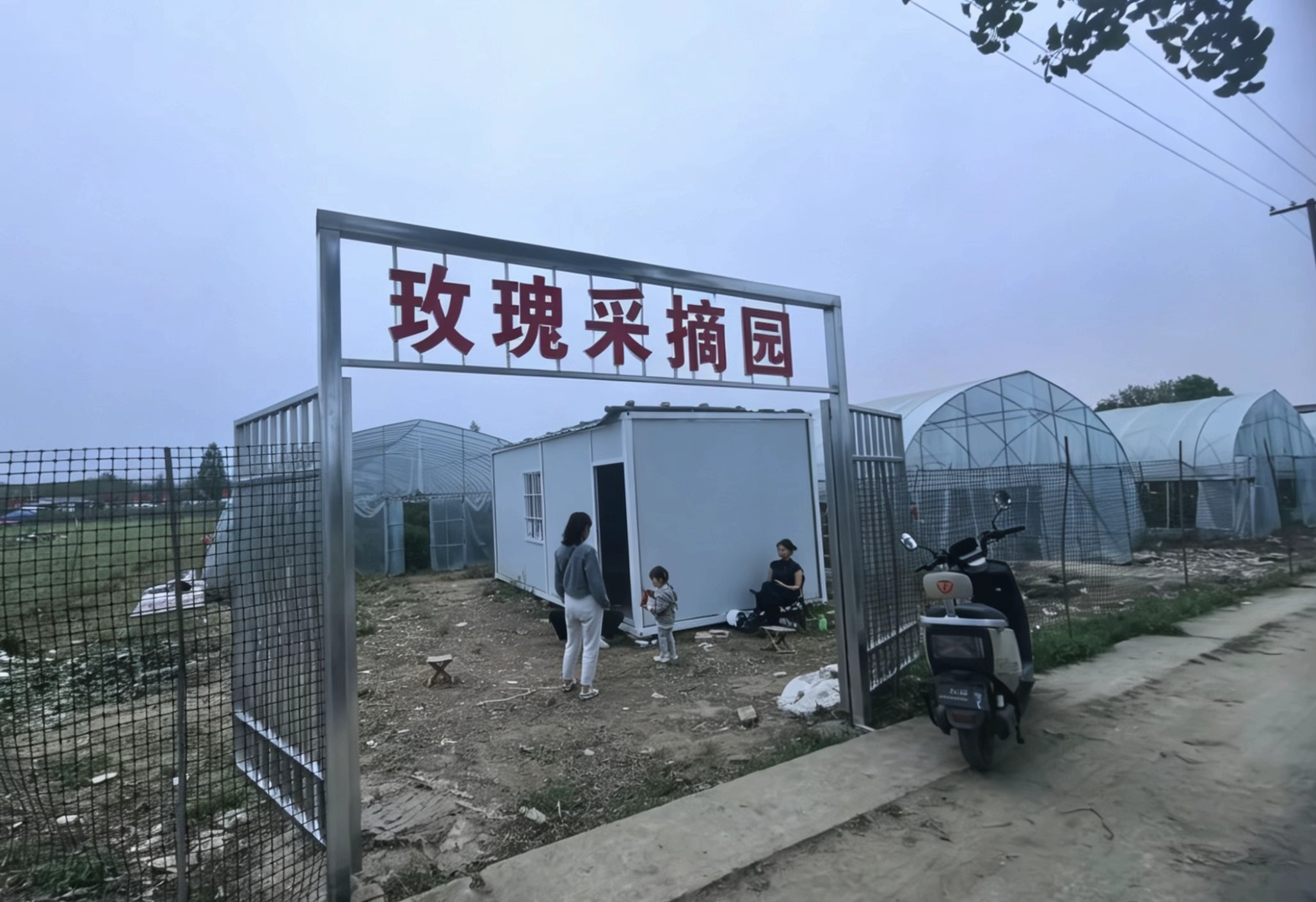 汉中玫瑰采摘园