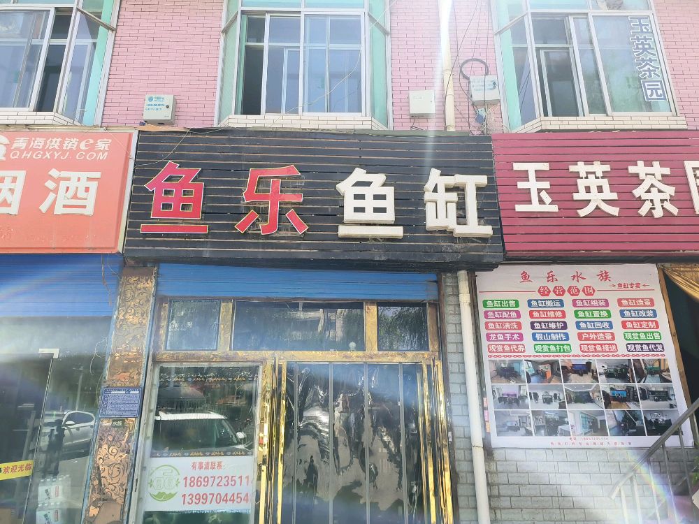 鱼乐鱼缸