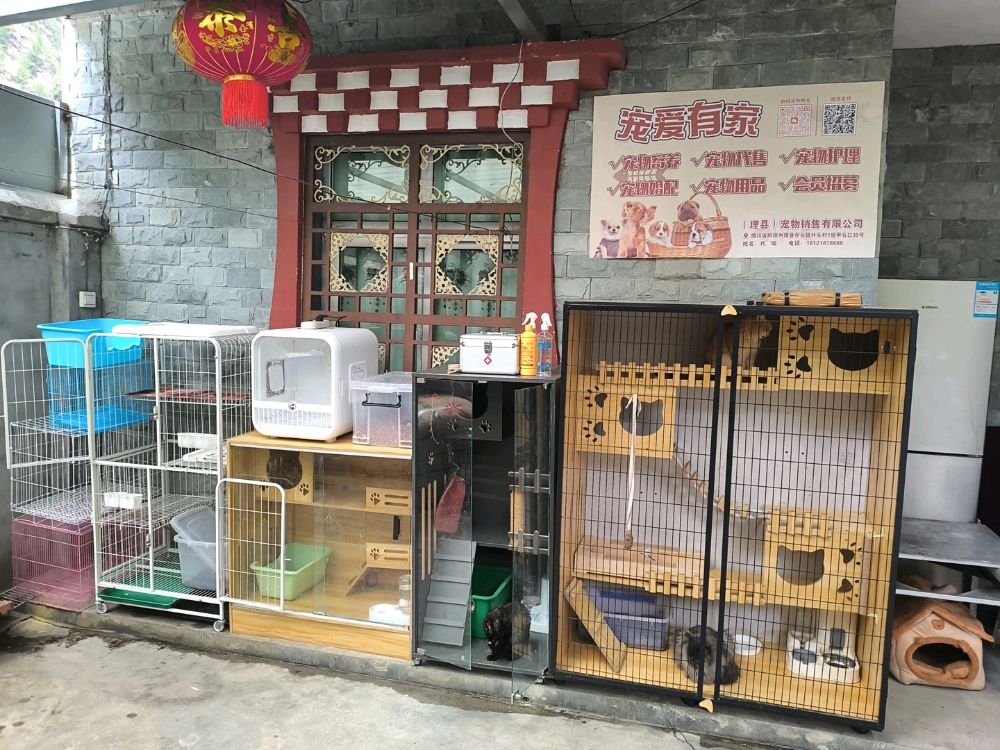 理县宠爱有家宠物销售有限公司