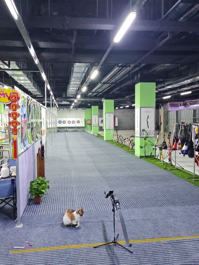 羽林风射箭俱乐部(东广场店)