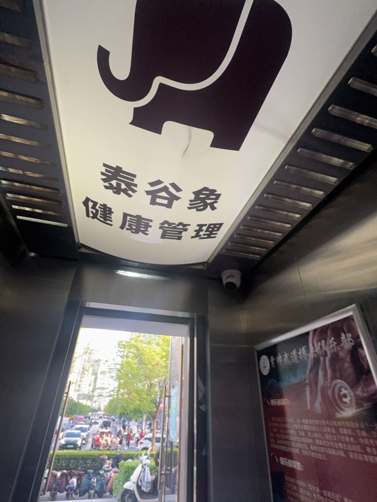 泰谷象