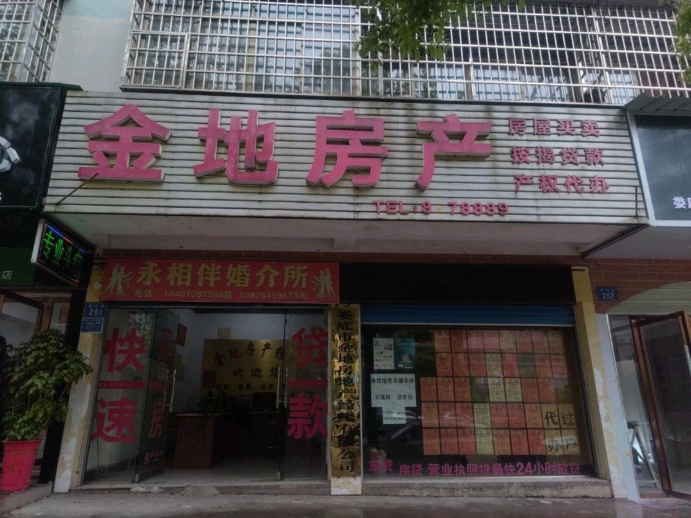 金地房产