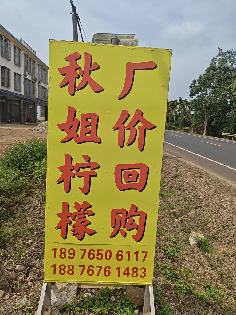 秋姐柠檬收购站(安竹)