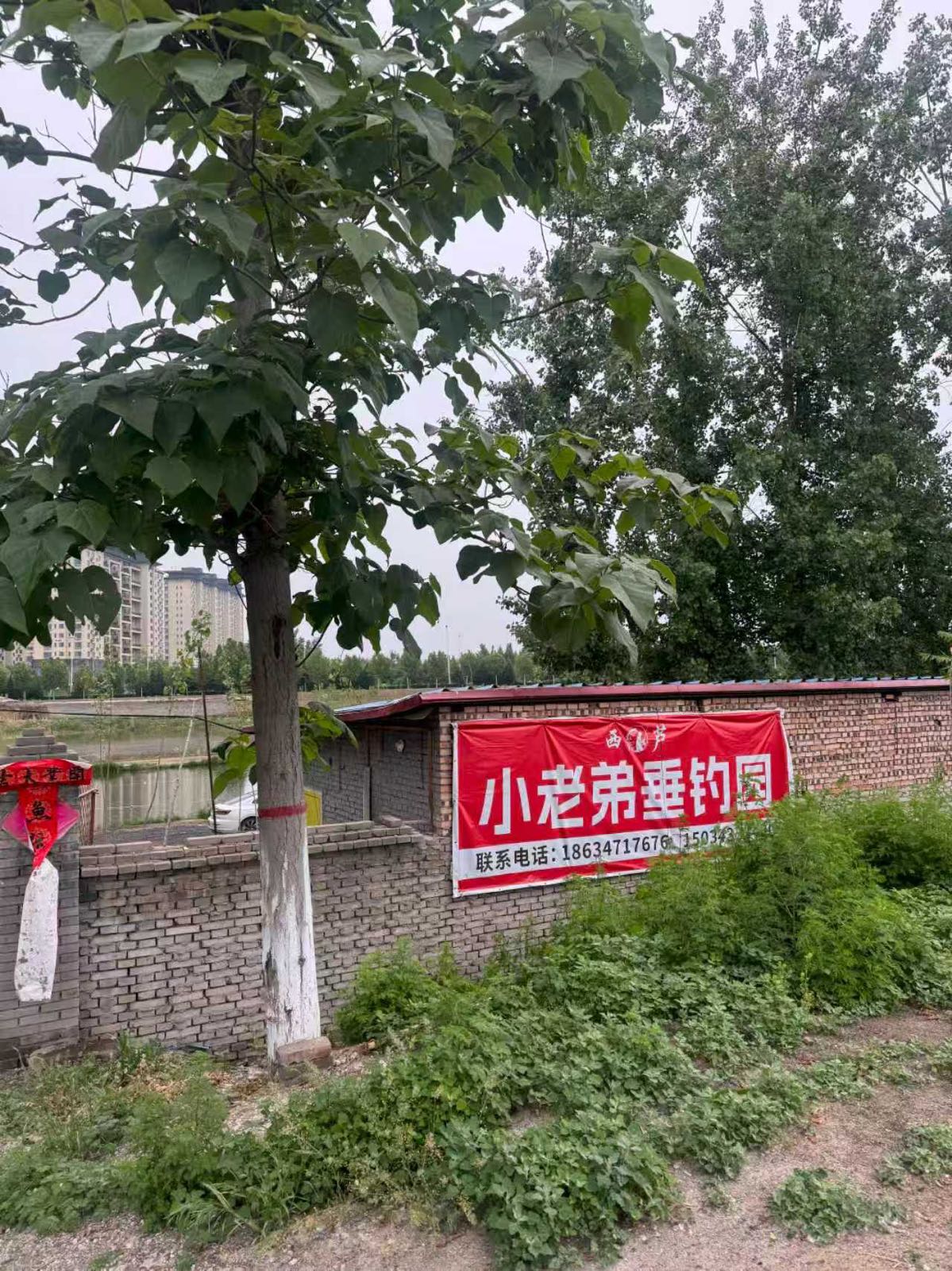 小老弟垂钓园