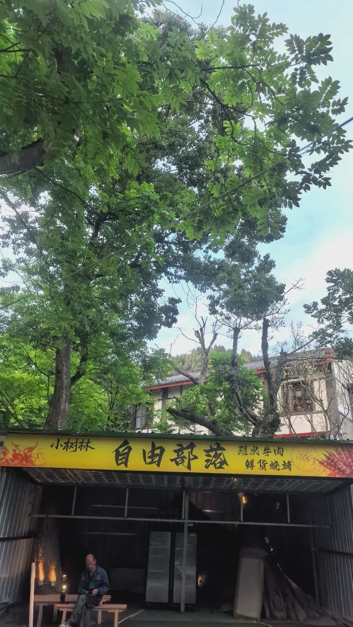 小树林自由部落烧烤