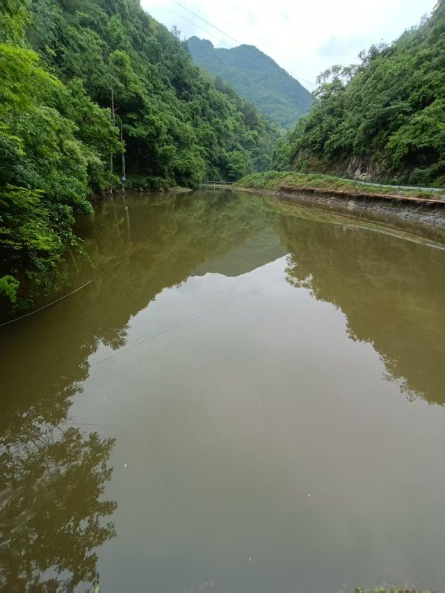 五郎坪水库钓场