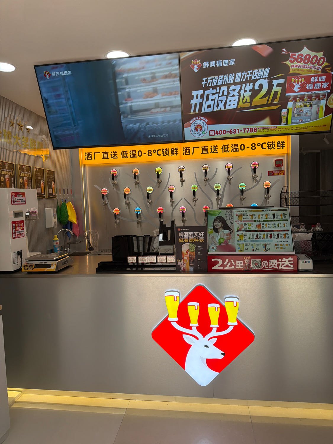 喝鲜啤福鹿家