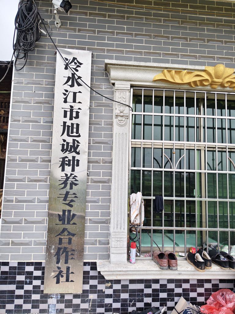 冷水江市旭诚种养专业合作社(旭诚休闲垂钓园)