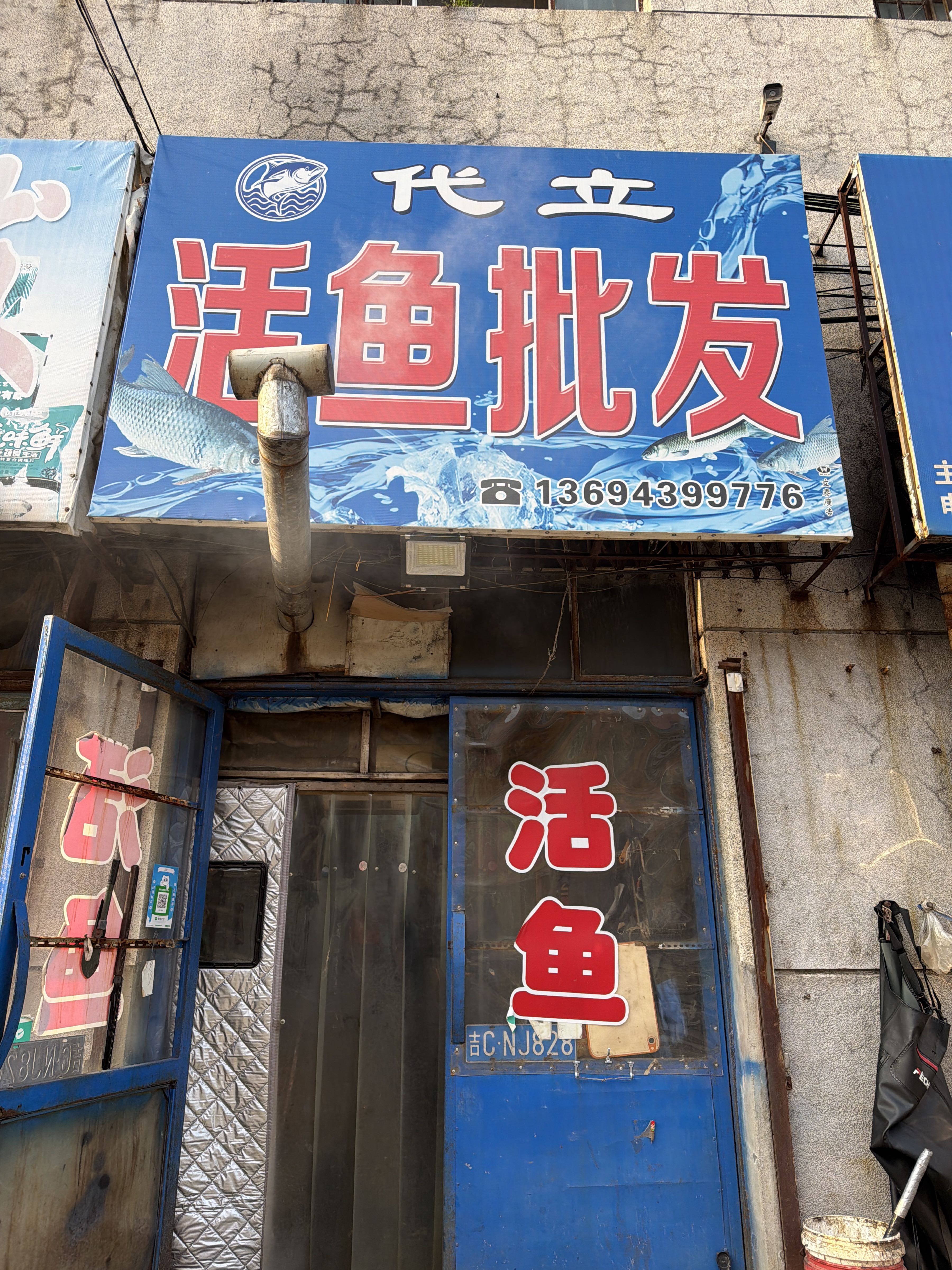 代立活鱼批发