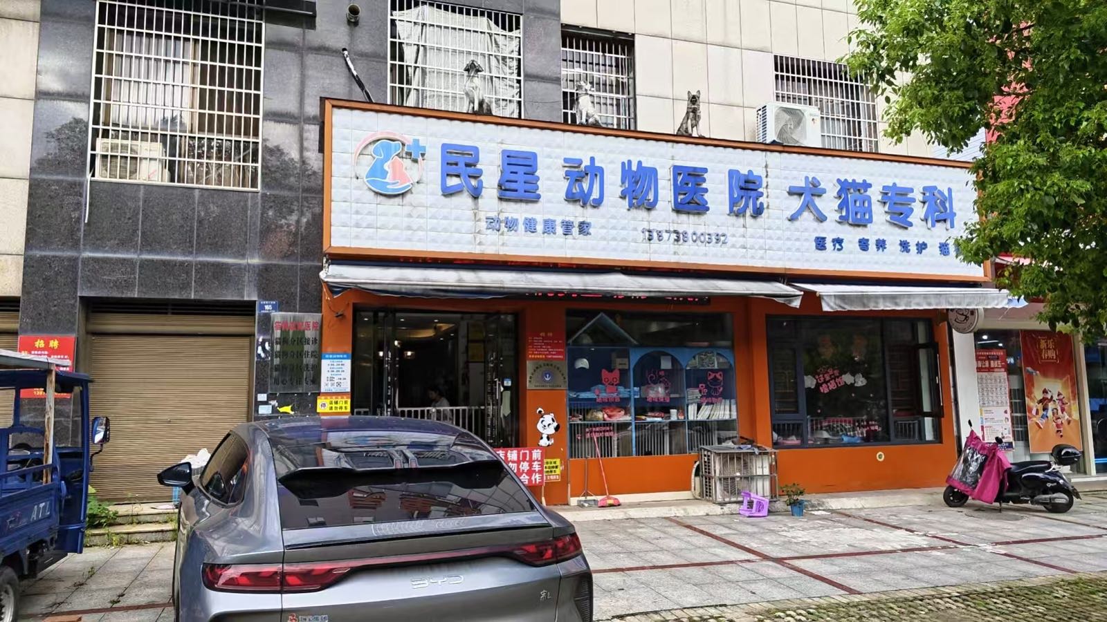民星动物医院犬猫专科