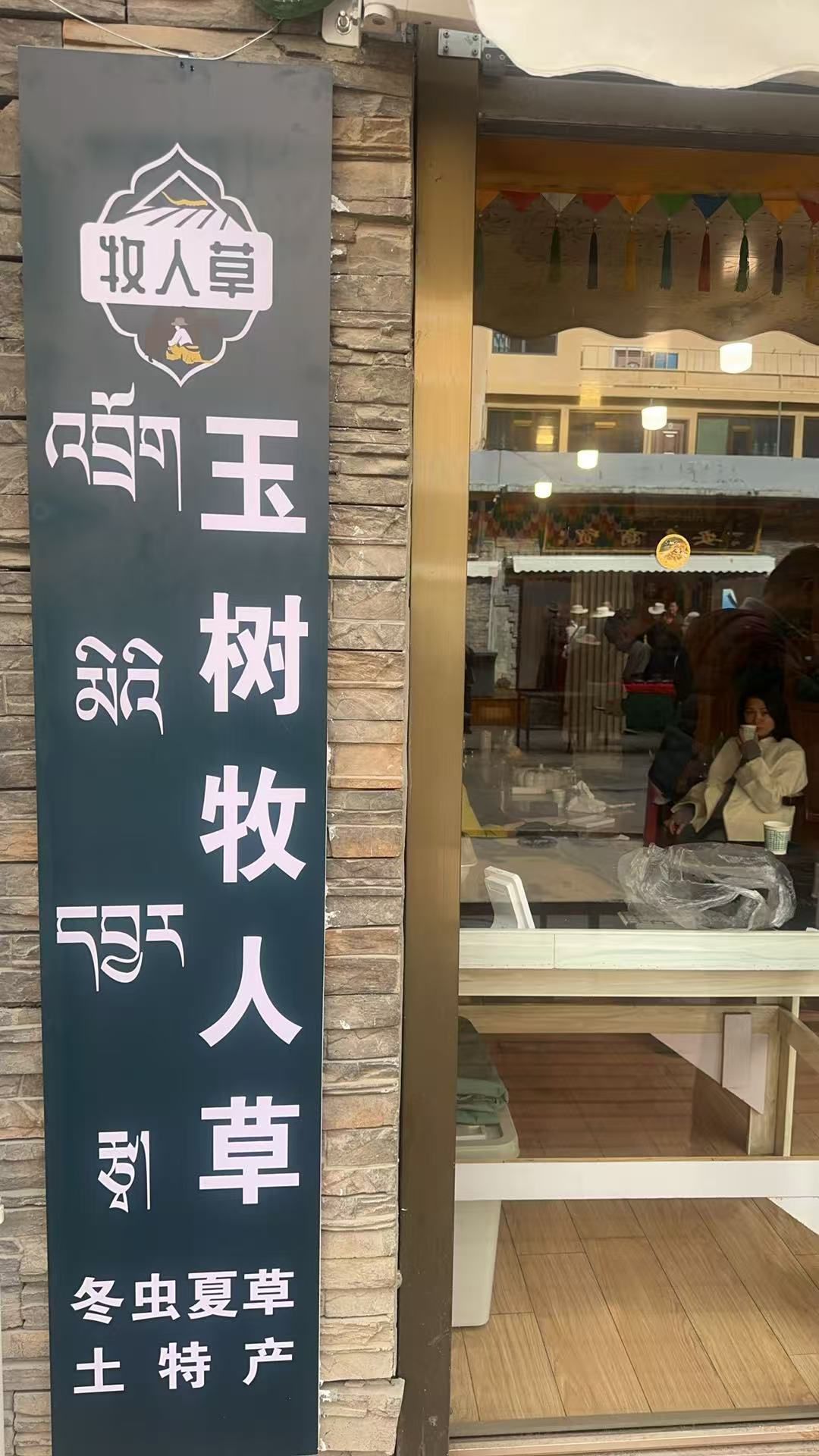 玉树牧人草