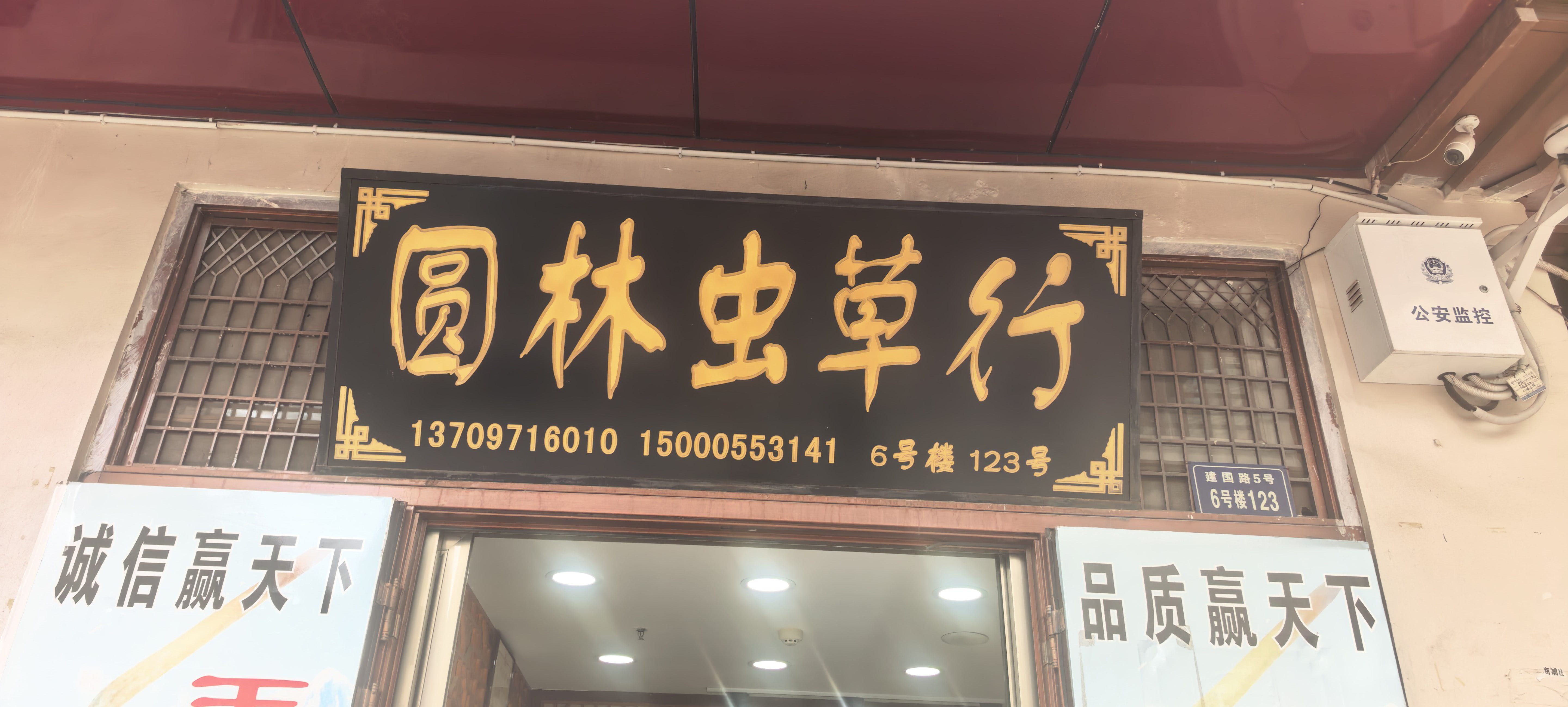 圆林虫草行