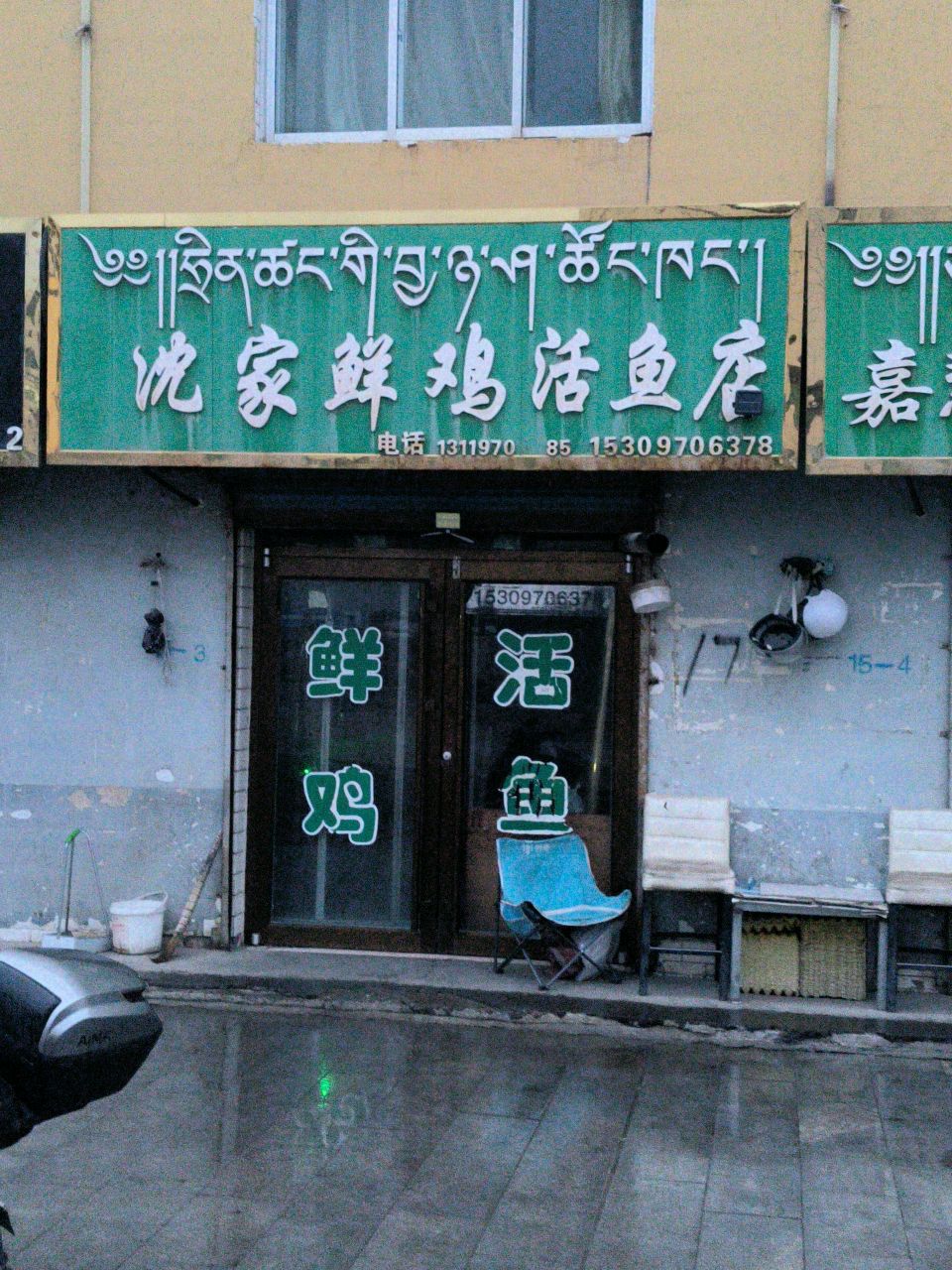 清真鲜鸡活鱼店