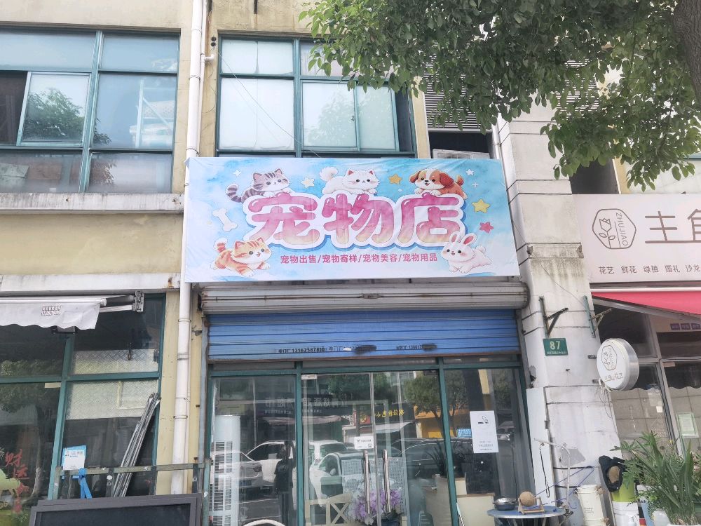 宠物店