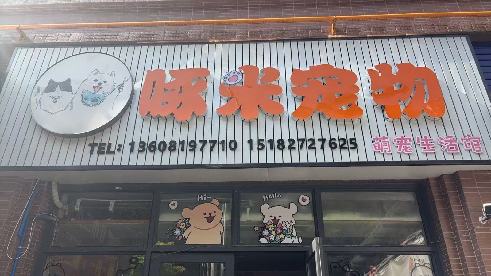 啄米宠物