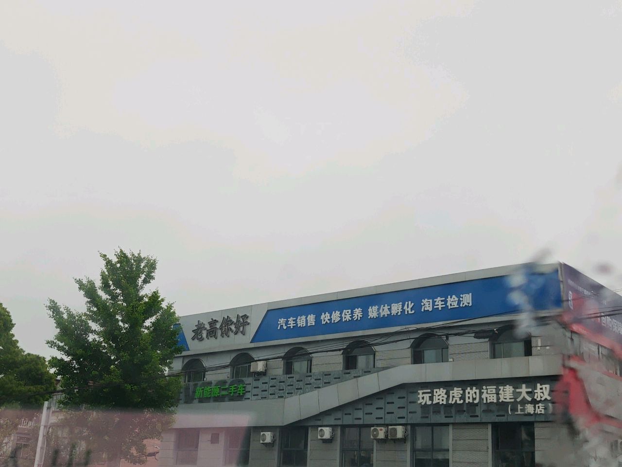 老高你好