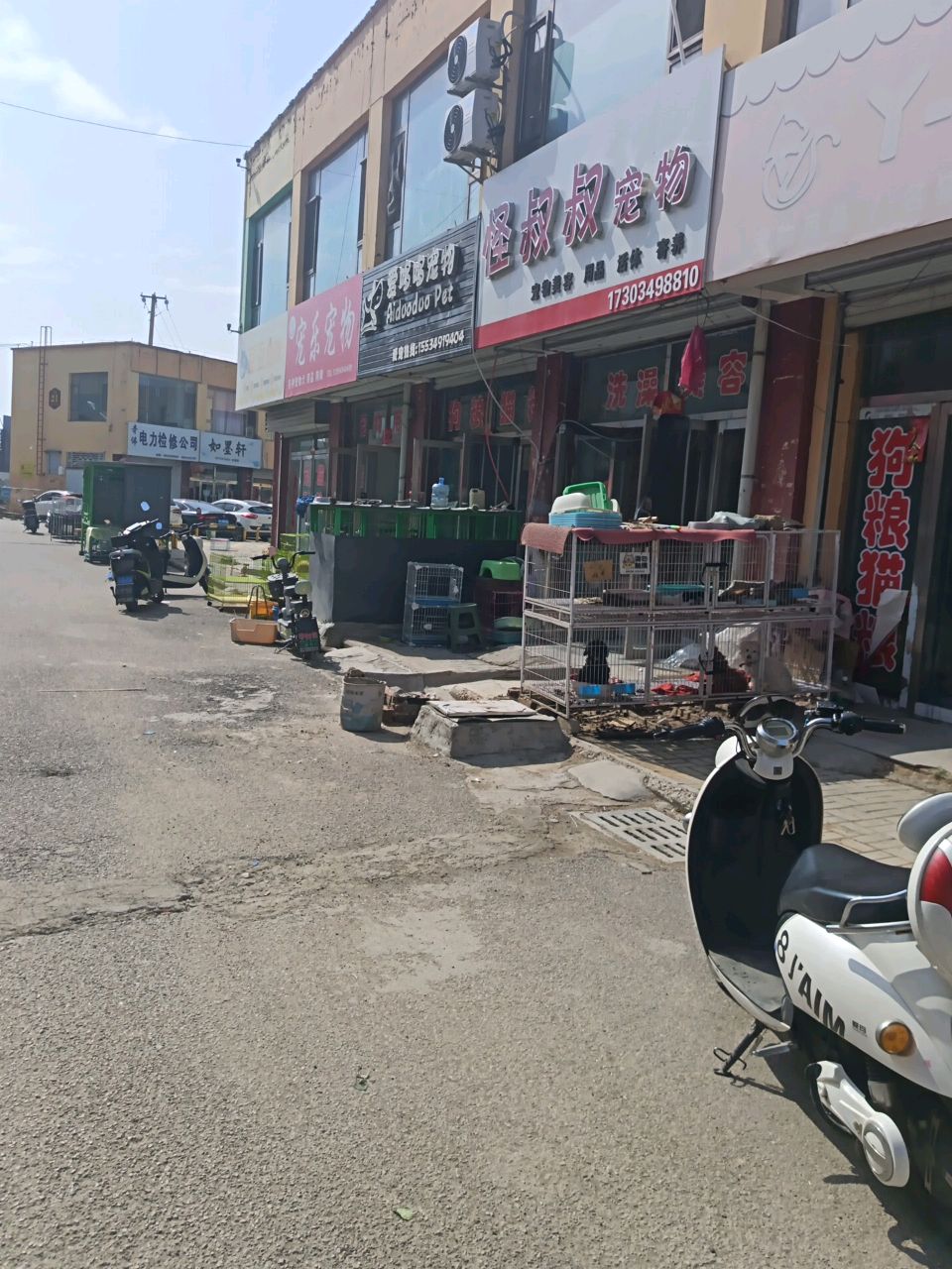 宠乐宠物