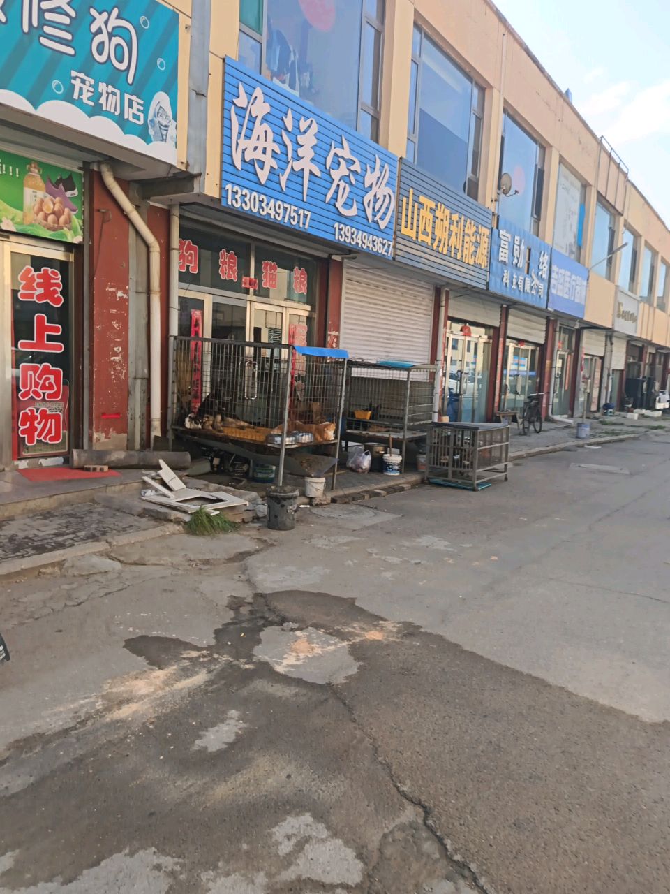 海洋宠物乐园(银建市场店)