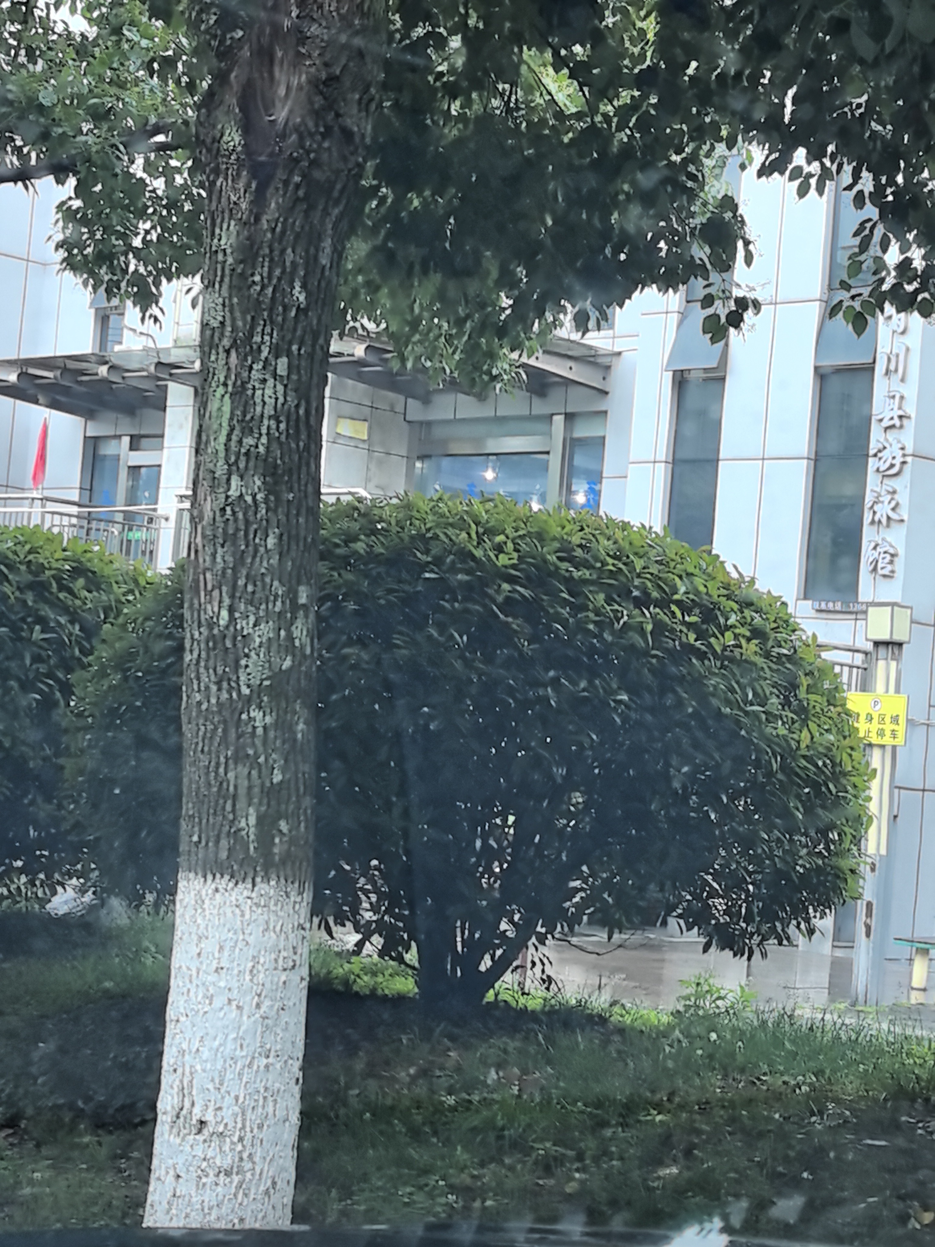 青川县游泳馆