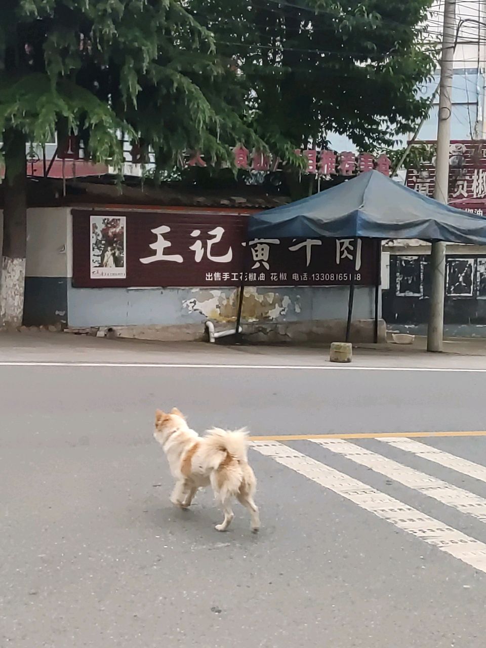 王记牛肉山庄