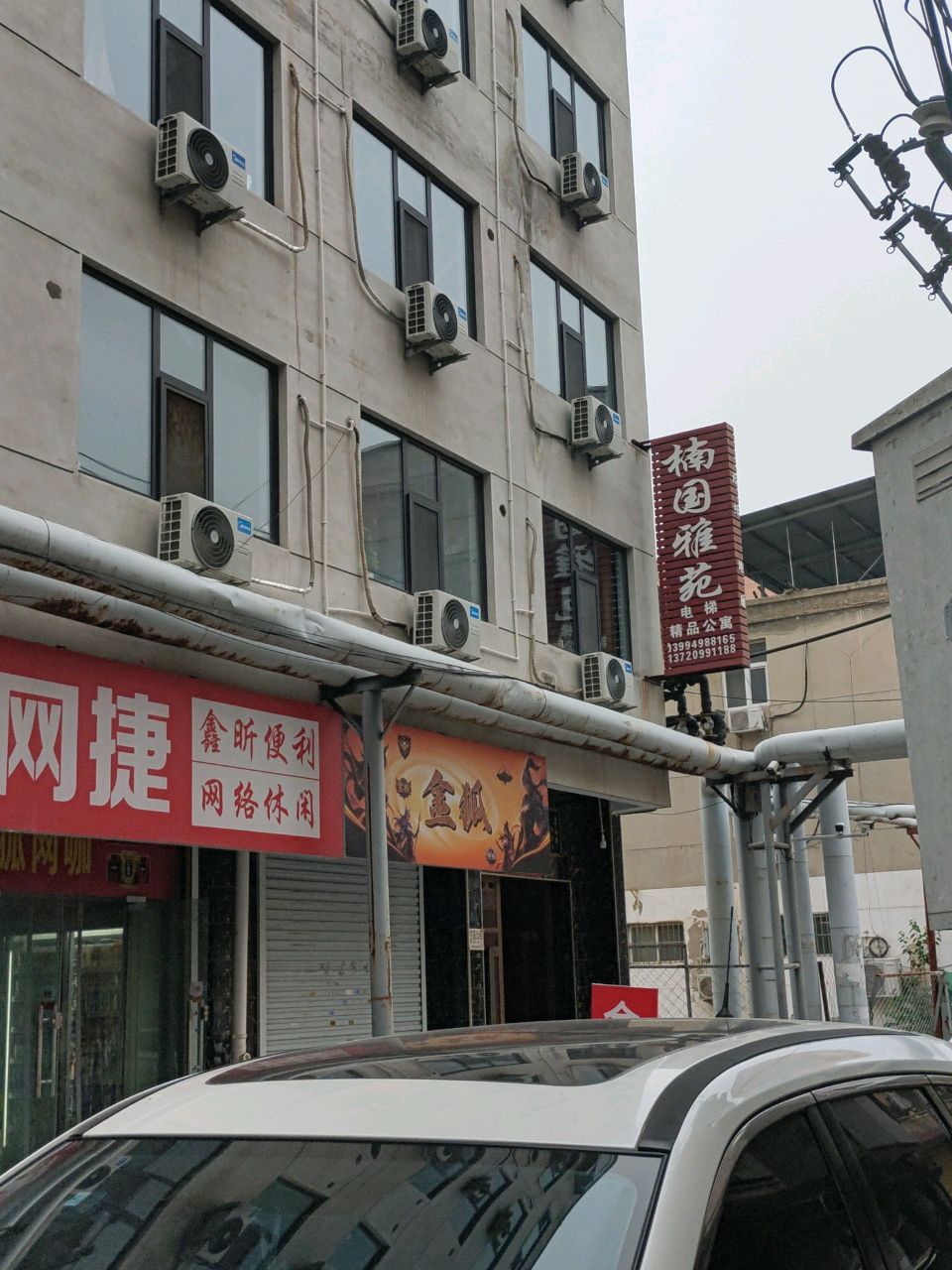 金狐竞技