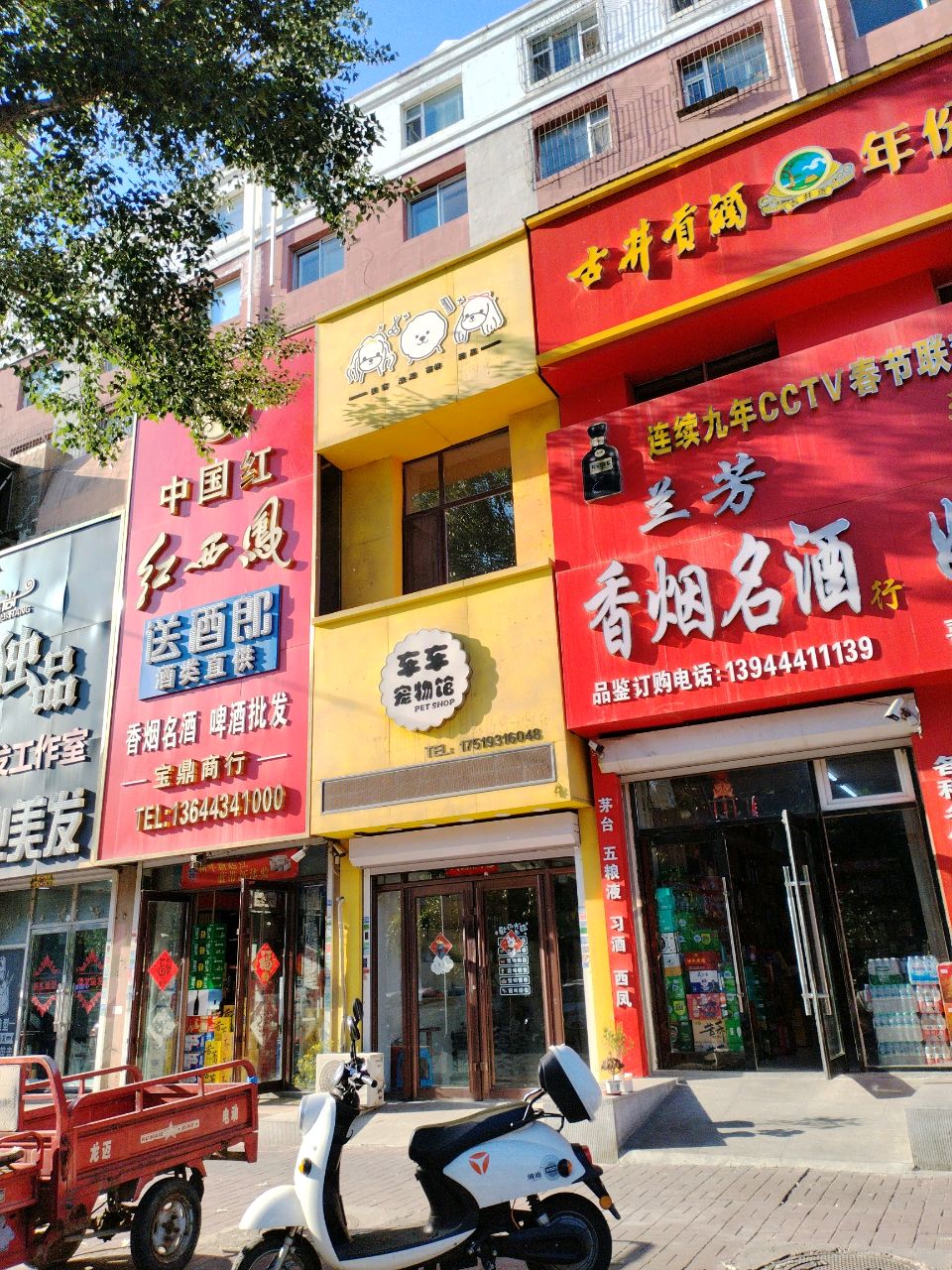 车车宠物馆(南三东里店)